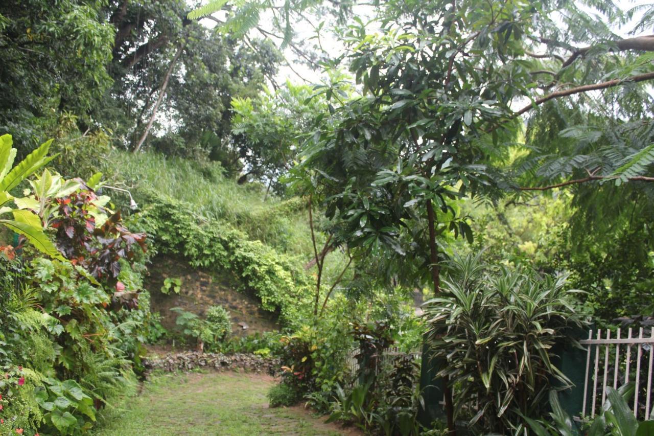Lazy Bear Best Hostel In Kandy Exterior photo