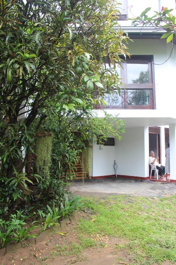 Lazy Bear Best Hostel In Kandy Exterior photo