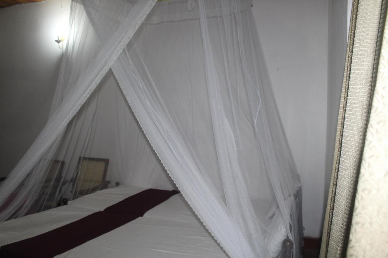 Lazy Bear Best Hostel In Kandy Exterior photo