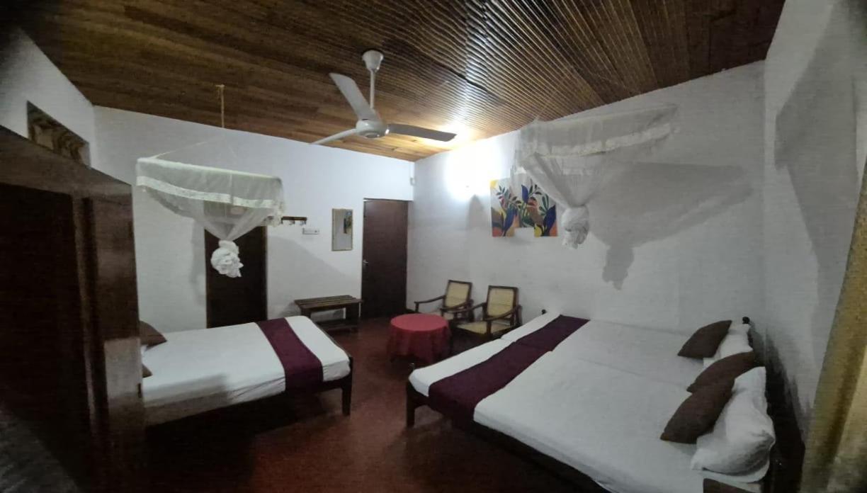 Lazy Bear Best Hostel In Kandy Exterior photo