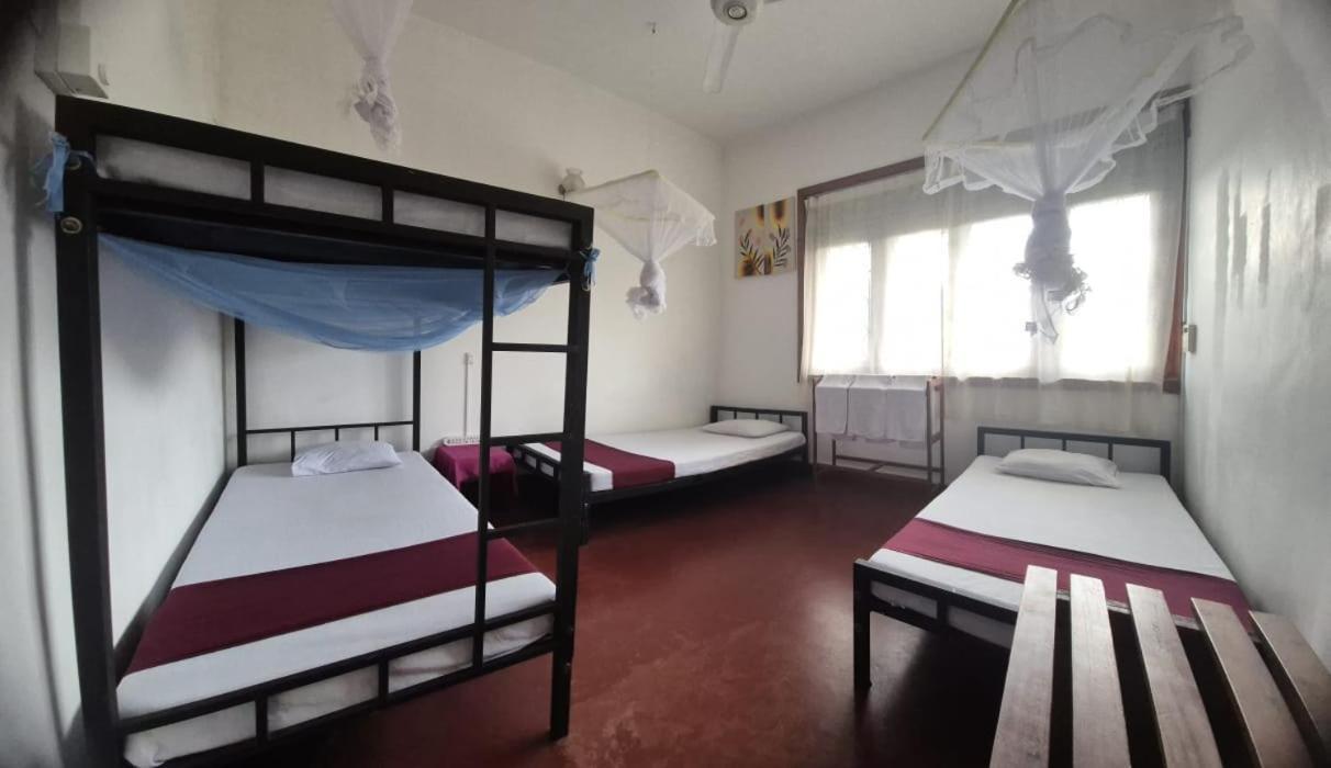 Lazy Bear Best Hostel In Kandy Exterior photo