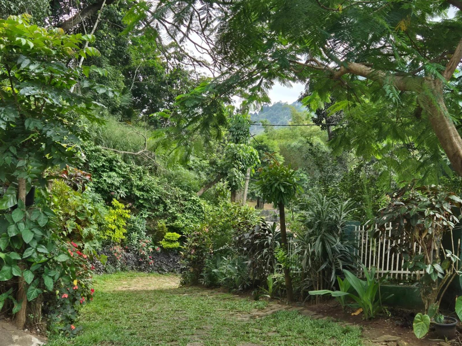 Lazy Bear Best Hostel In Kandy Exterior photo